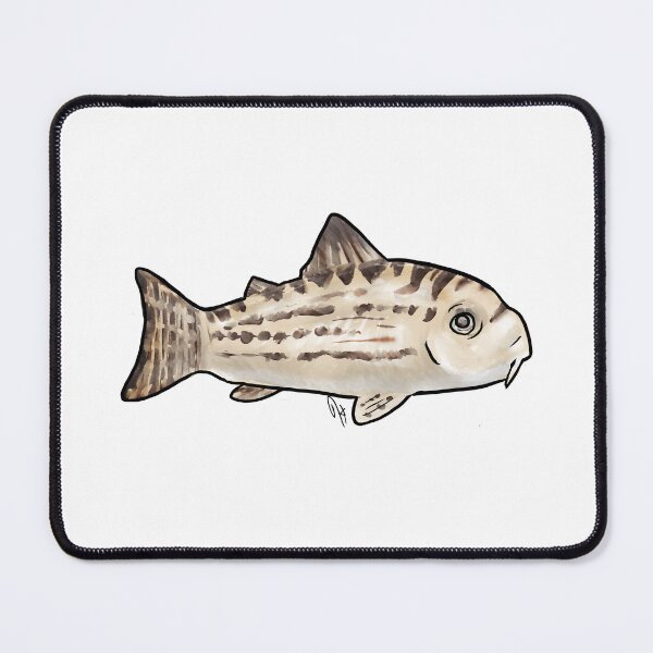 Item preview, Cory Catfish - Julii designed and sold by Jennifer Stolzer.
