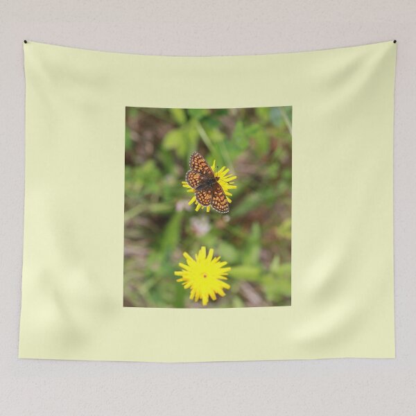 Item preview, Titania's Fritilllary Butterfly, Chamonix, Haute-Savoie, France. designed and sold by Picturestation.