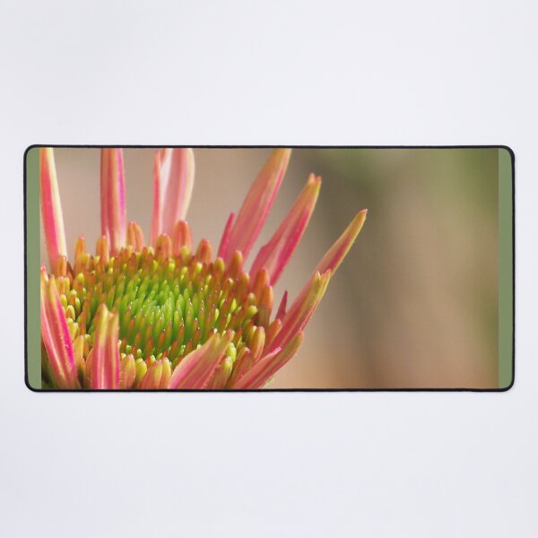 Item preview, Coneflower Pastels designed and sold by okomedesign.