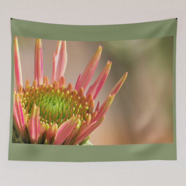 Item preview, Coneflower Pastels designed and sold by okomedesign.