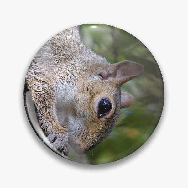 Item preview, Gray Squirrel designed and sold by adventuresswfl.