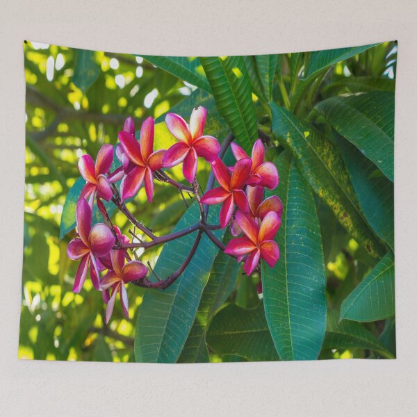 Item preview, Pink & Orange Plumeria Flowers designed and sold by Julia McMullen.