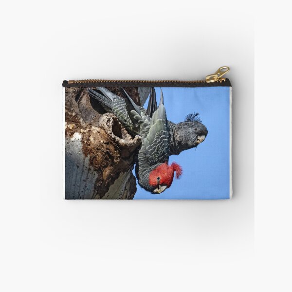 Item preview, A pair of gang gang cockatoos. designed and sold by DaveBassett.