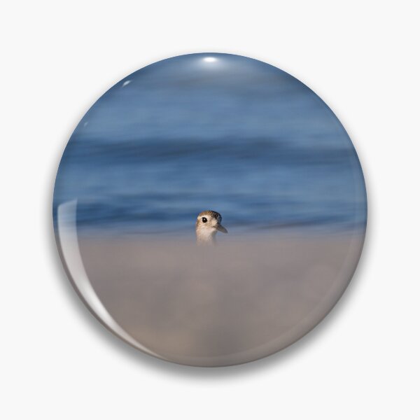 Item preview, Black-bellied Plover designed and sold by adventuresswfl.