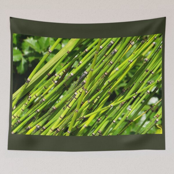 Item preview, Oblique Fossil designed and sold by okomedesign.