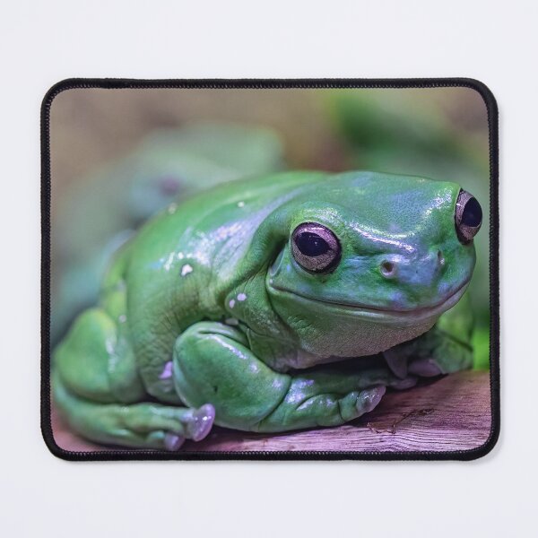 Item preview, Green tree frog resting. designed and sold by DaveBassett.