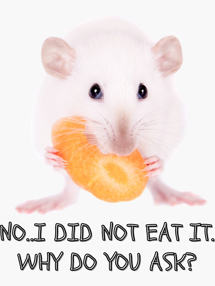 This is a funny meme showing that rats eat everything Sticker