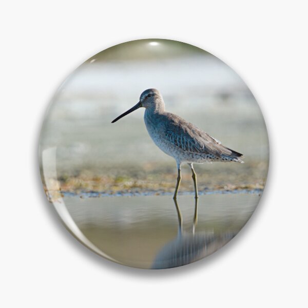 Item preview, Short-billed Dowitcher designed and sold by adventuresswfl.