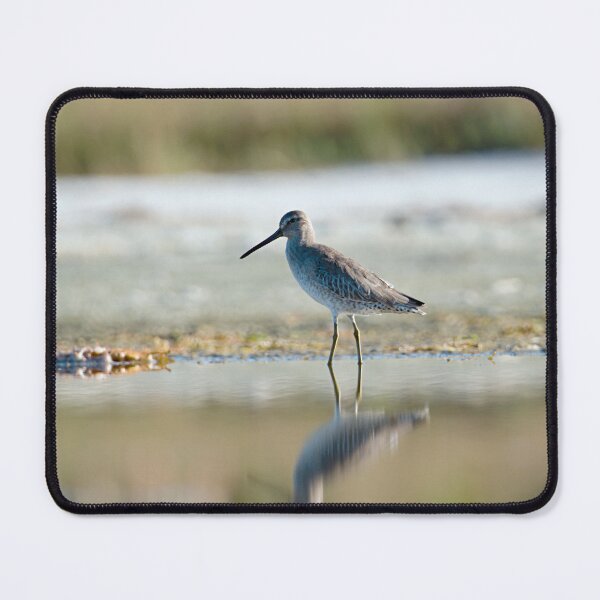 Item preview, Short-billed Dowitcher designed and sold by adventuresswfl.