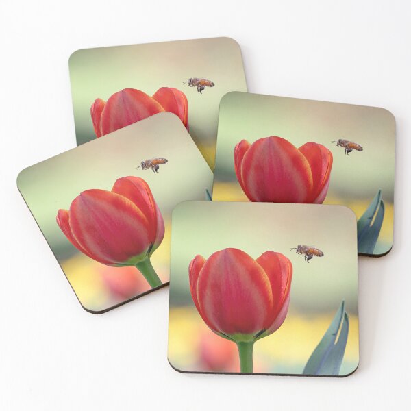 Item preview, Honey-bee over tulip.  designed and sold by DaveBassett.