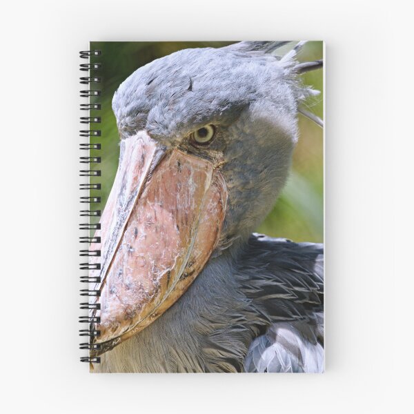 Item preview, Shoebill Stork designed and sold by adventuresswfl.
