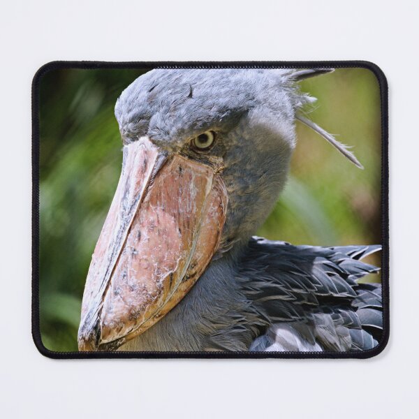 Item preview, Shoebill Stork designed and sold by adventuresswfl.