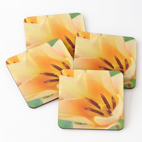 Item preview, Tulipa  'Fur Elise'  Tulip  Greigii Group designed and sold by Chris Burrows.
