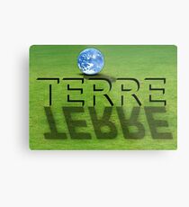 world Metal Print