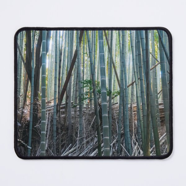 Item preview, Bamboo, Fushimi Inari, Kyoto designed and sold by BrettScarbeau.