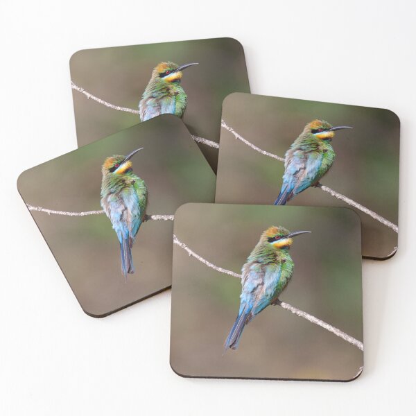 Item preview, Rainbow Bee-eater Floof designed and sold by Matt Vickery.