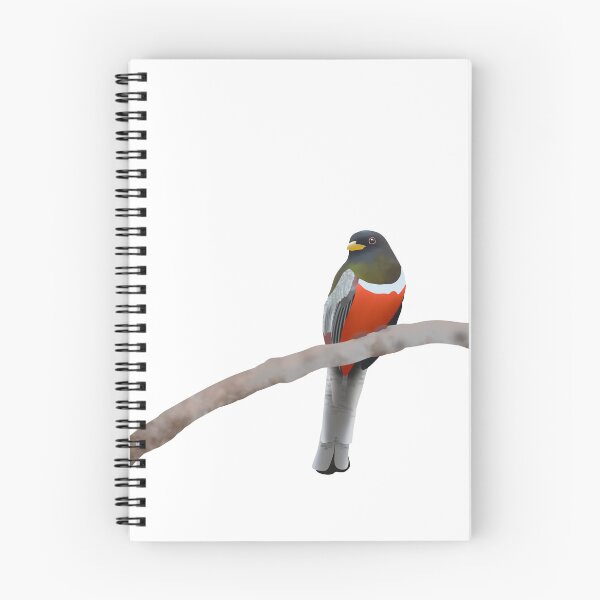 Item preview, elegant trogon designed and sold by mstremciuc.