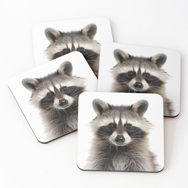 Item preview, Raccoon Logo Sticker, wall arts, Art Prints and More designed and sold by Kevin Lou.