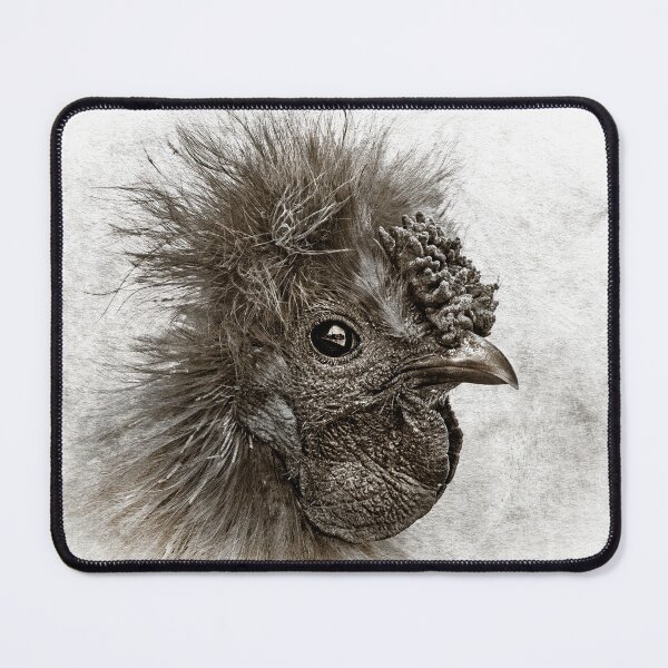 Item preview, Silkie chicken with added texture. designed and sold by DaveBassett.