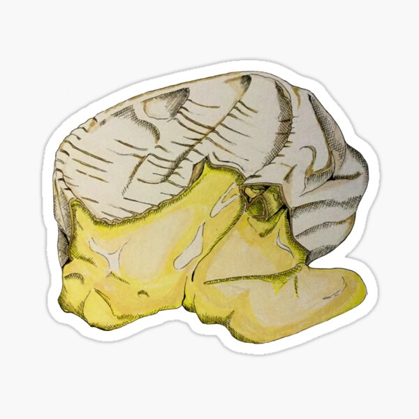 Item preview, Ripe Camembert  designed and sold by Food and stuff.