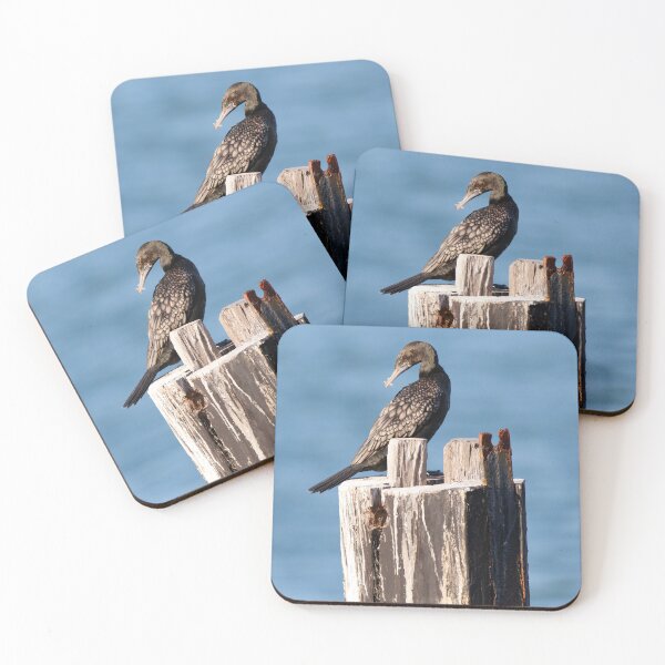 Item preview, Little Black Cormorant designed and sold by Matt Vickery.