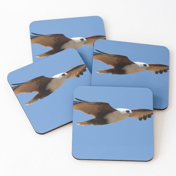 Item preview, Brahminy Kite designed and sold by Matt Vickery.