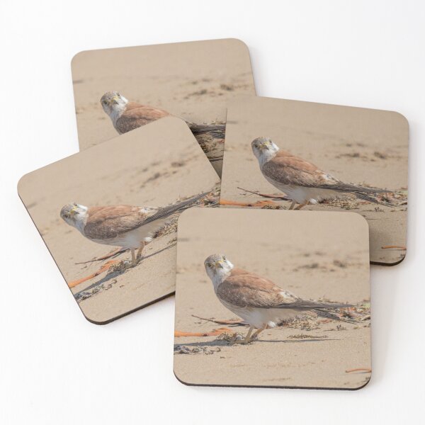 Item preview, Nankeen Kestrel designed and sold by Matt Vickery.