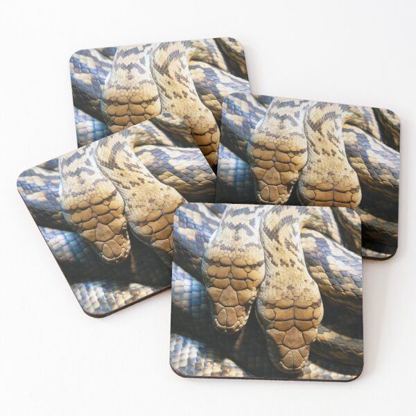 Item preview, Amethystine Python Pair designed and sold by Matt Vickery.