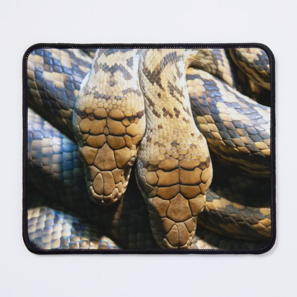 Item preview, Amethystine Python Pair designed and sold by Matt Vickery.
