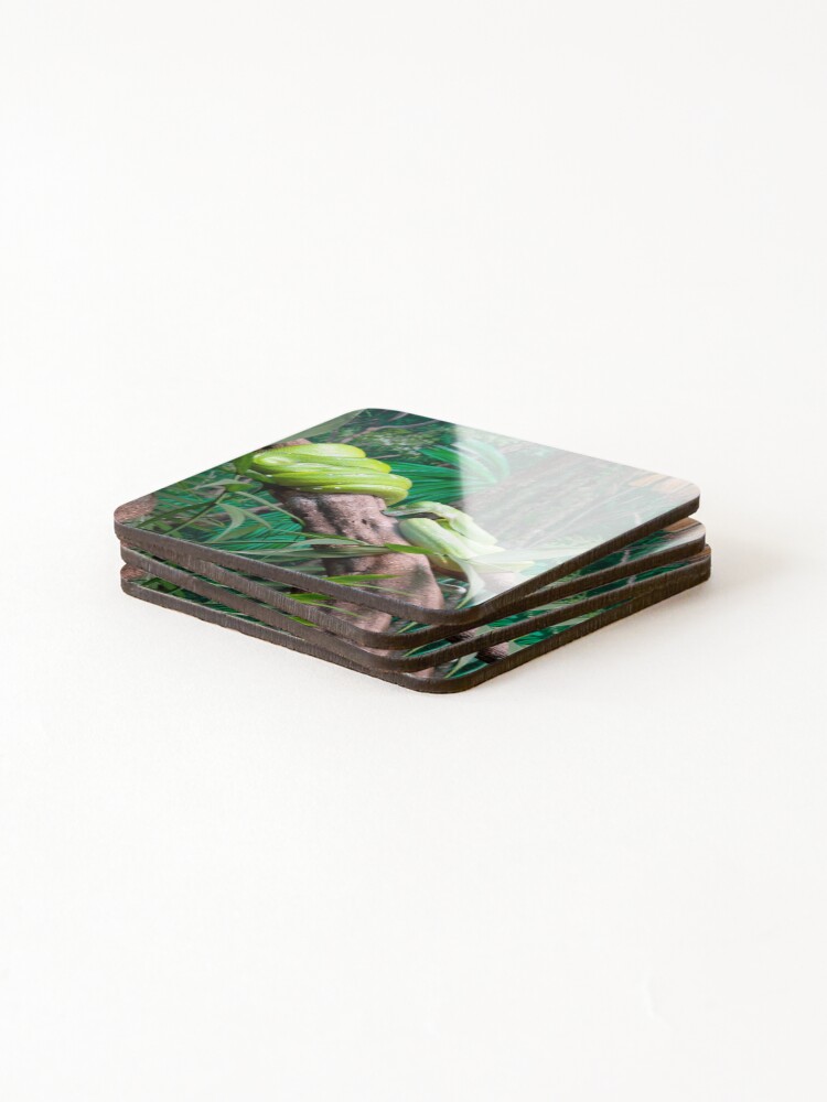 Thumbnail 4 of 5, Coasters (Set of 4), Green Tree Python designed and sold by m-vickery.
