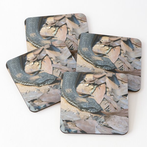 Item preview, Death Adder designed and sold by Matt Vickery.