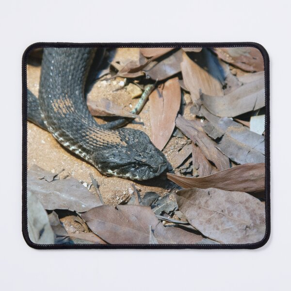 Item preview, Death Adder designed and sold by Matt Vickery.
