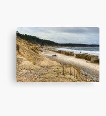 The Last Defence Canvas Print