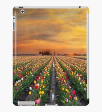 Sunset over colorful Tulip flower fields in full bloom during spring season tulip festival in Woodburn Oregon iPad Case/Skin