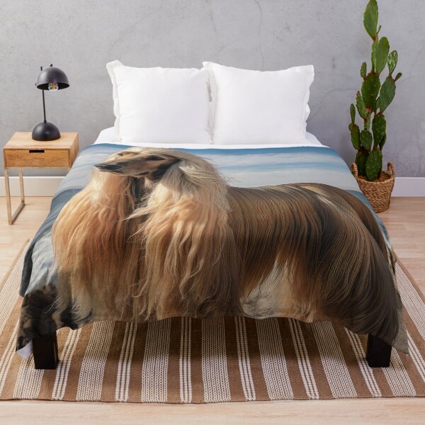Item preview, Golden Afghan Hound on the Beach designed and sold by Elisabeth Lucas.