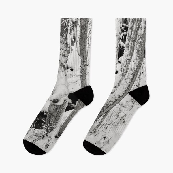 Item preview, The Brook  and snow. First snow views bw designed and sold by Jouko Lehto Photography.