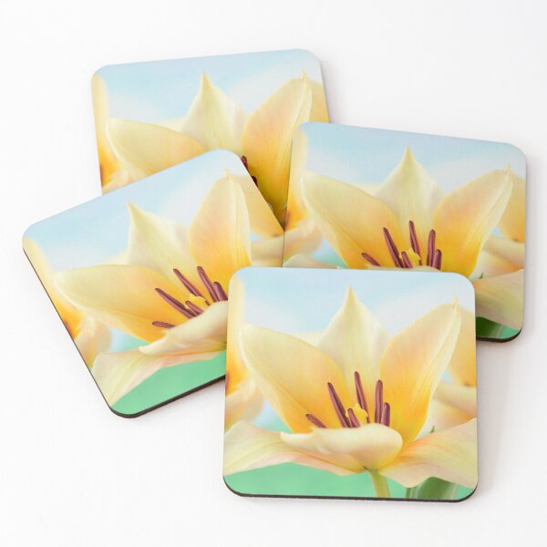 Item preview, Tulipa  'Fur Elise'  Tulip  Greigii Group designed and sold by Chris Burrows.