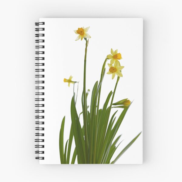 Item preview, Narcissus flower designed and sold by Claraveritas.