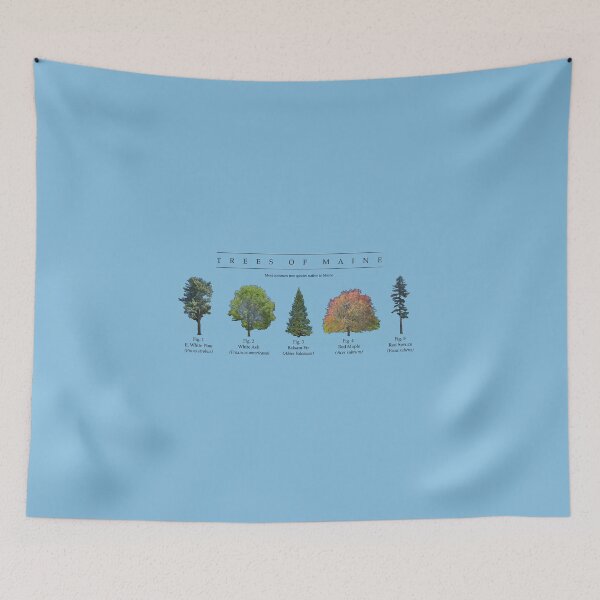 Item preview, Trees of Maine designed and sold by Atmospheric Comics  Company.