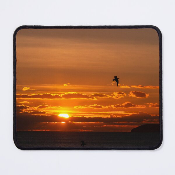 Item preview, Seagull Sunset. designed and sold by GingerMan2550.