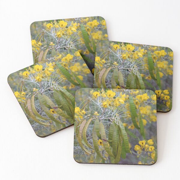 Item preview, Silver cassia designed and sold by Calidris Fotografie Steffi & Ben Köppler.