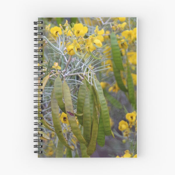 Item preview, Silver cassia designed and sold by Calidris Fotografie Steffi & Ben Köppler.