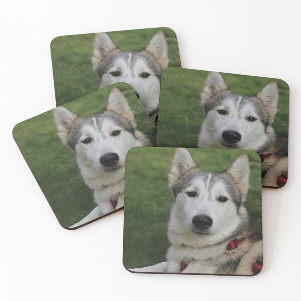 Item preview, Husky designed and sold by Calidris Fotografie Steffi & Ben Köppler.