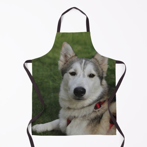 Item preview, Husky designed and sold by Calidris Fotografie Steffi & Ben Köppler.