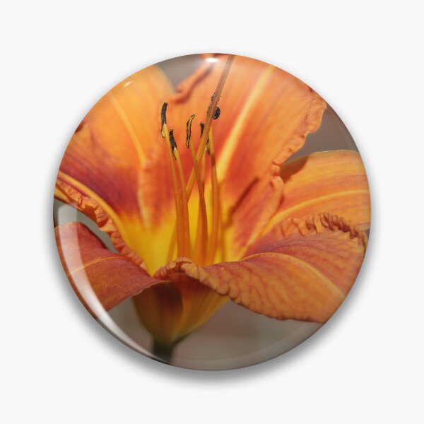 Item preview, Tiger Daylily designed and sold by Calidris Fotografie Steffi & Ben Köppler.