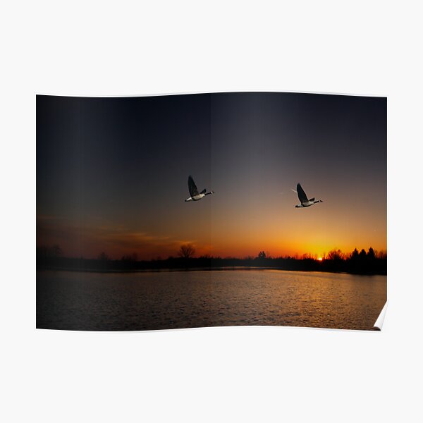 Taking Off Poster