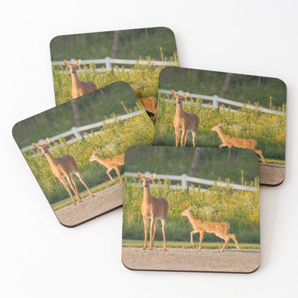 Item preview, A doe and her baby designed and sold by FlyingLilly.