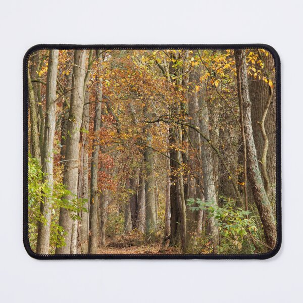Item preview, Autumn Walk designed and sold by FlyingLilly.