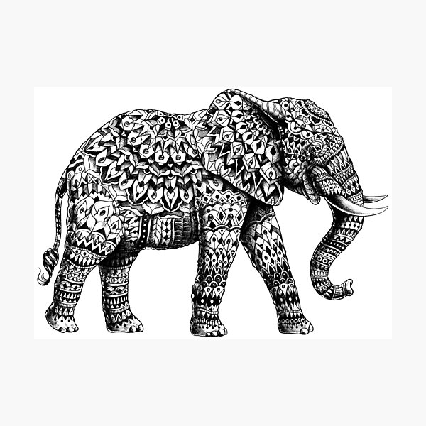 Ornate Elephant 3.0 Photographic Print