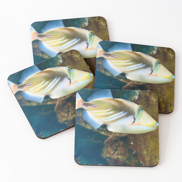 Item preview, bright fish designed and sold by BreeFarinaPhoto.